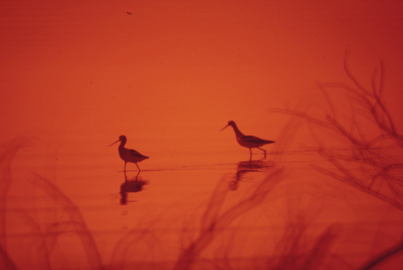 Kunsten å koble&nbsp;til